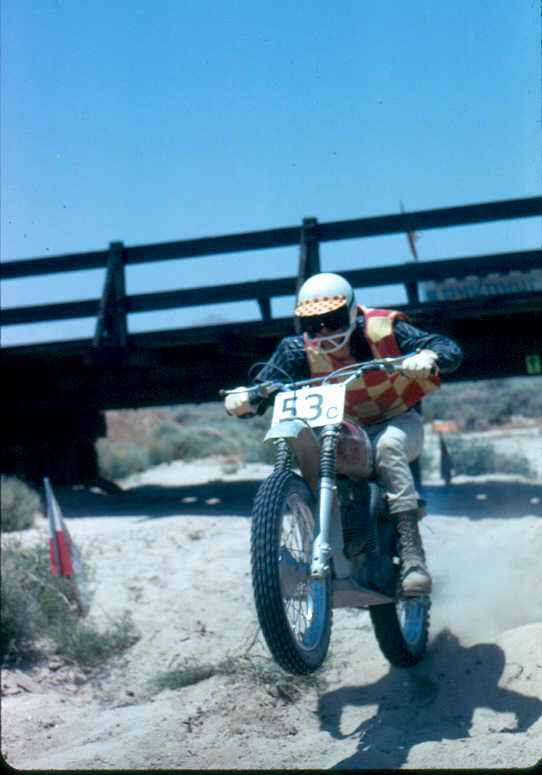 Terry Haug